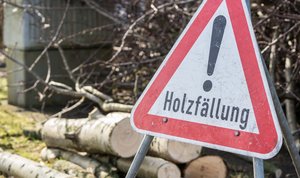 Waldwege aufgrund von Forstarbeiten gesperrt