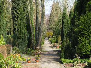 Bild eines Weges auf dem Osthofenfriedhof-