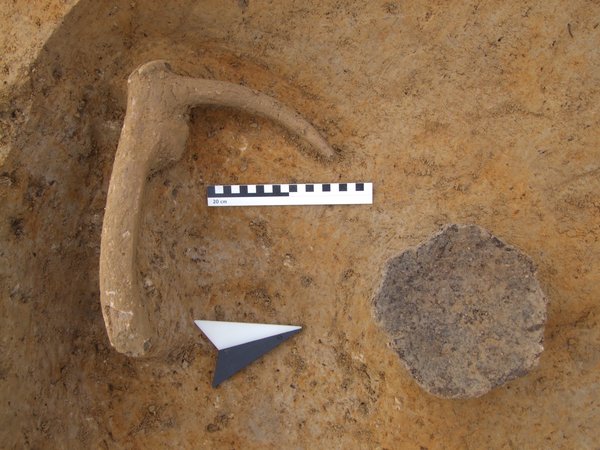 Eine bei der Grabung gefundene Geweih-Hacke