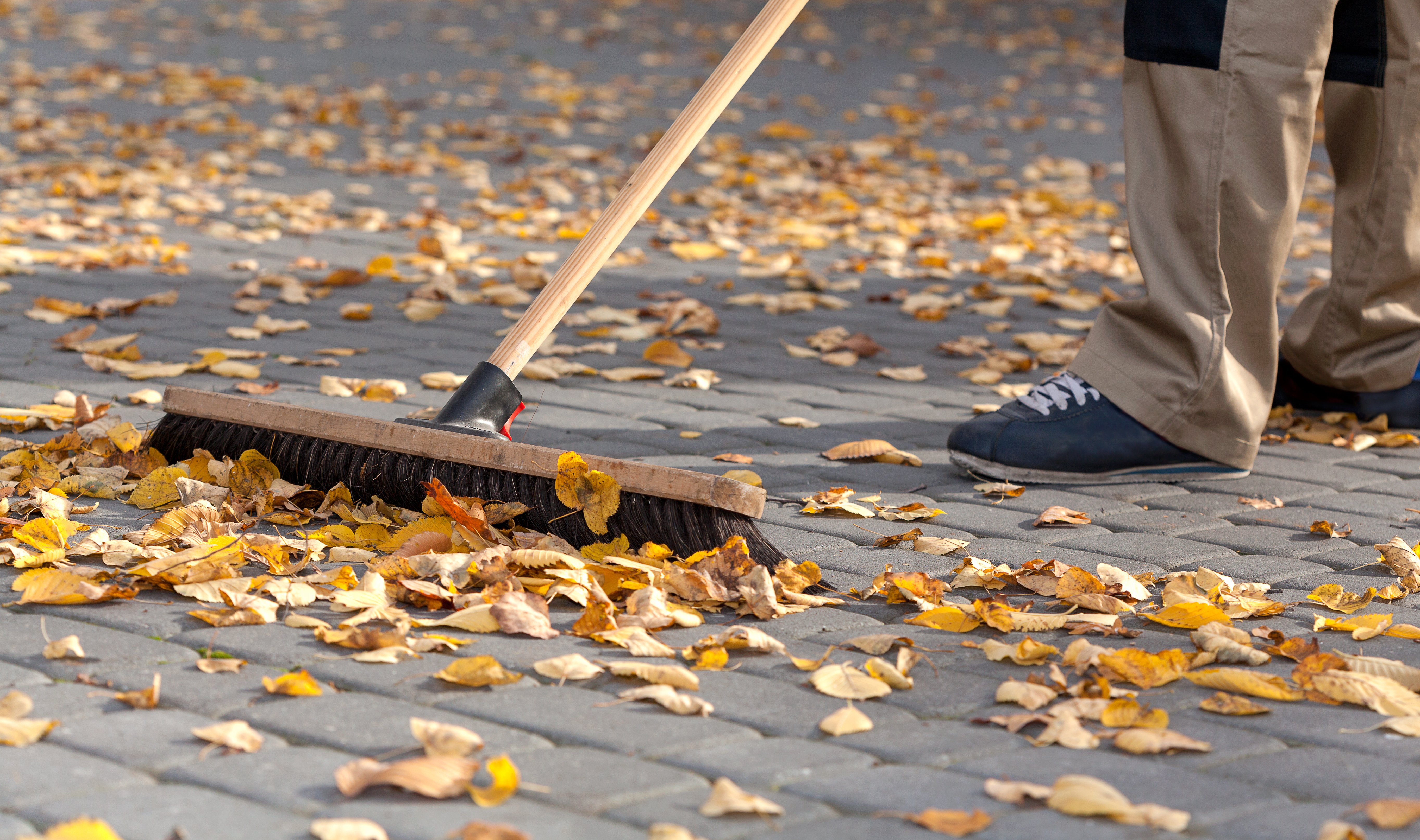 Laubkörbe sind aufgestellt