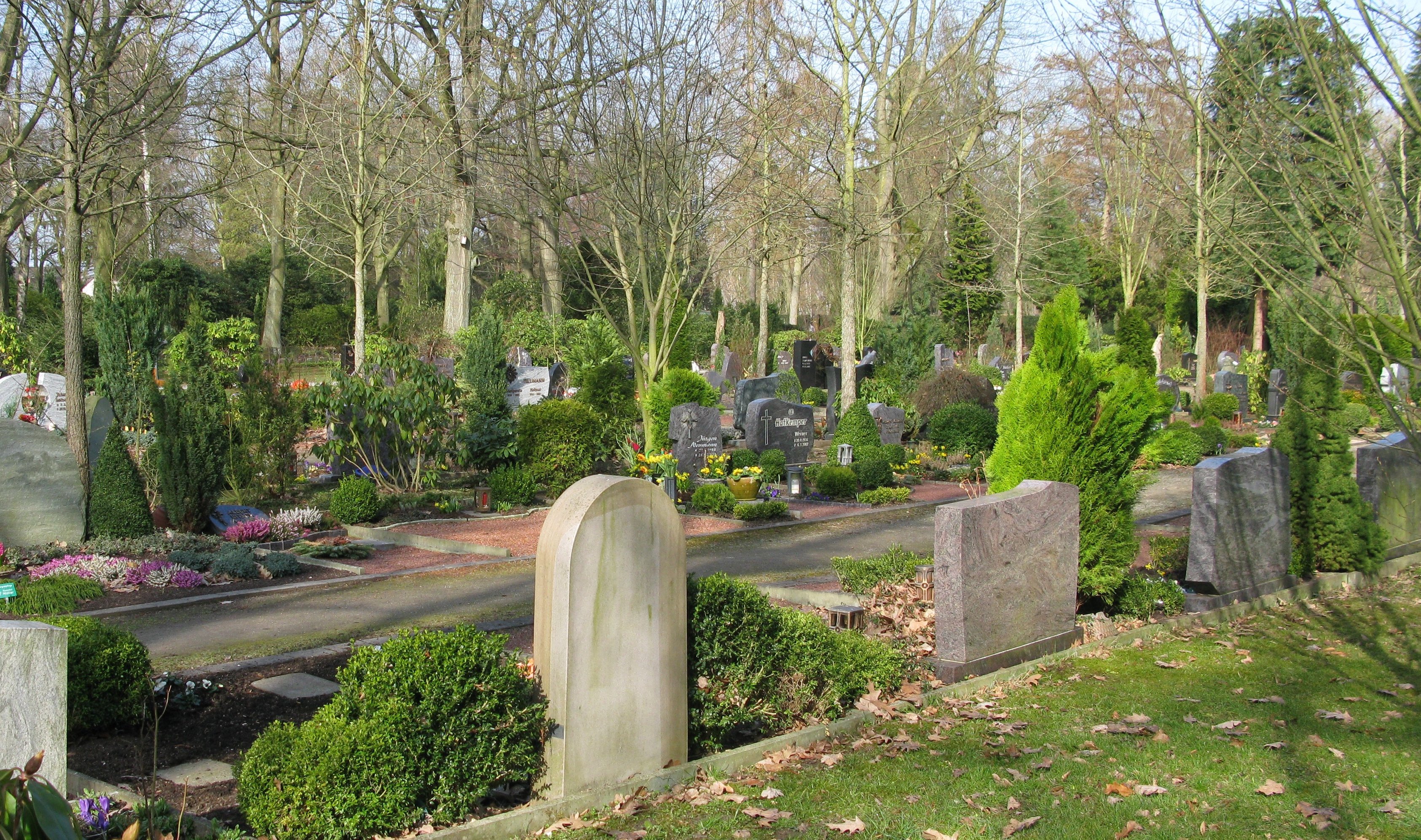 Link zum Bereich Friedhöfe