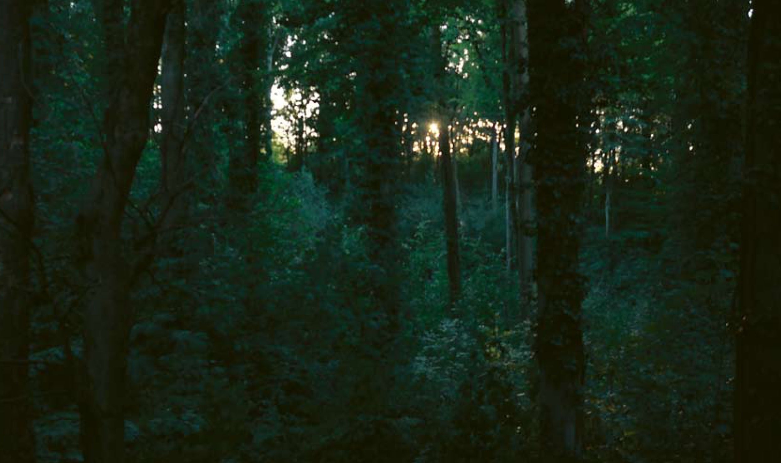 The moon sleeps sailing